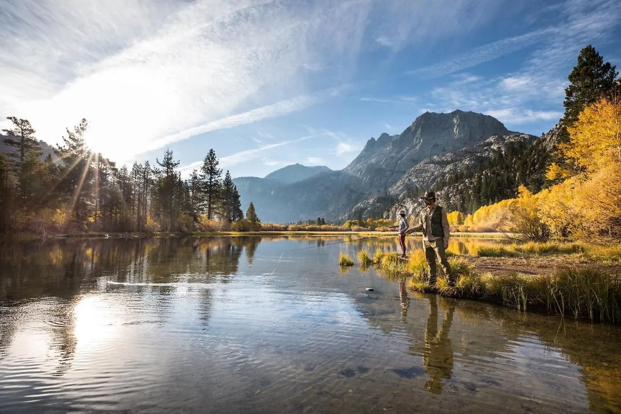 Discover 4 Mammoth Lakes 0*,